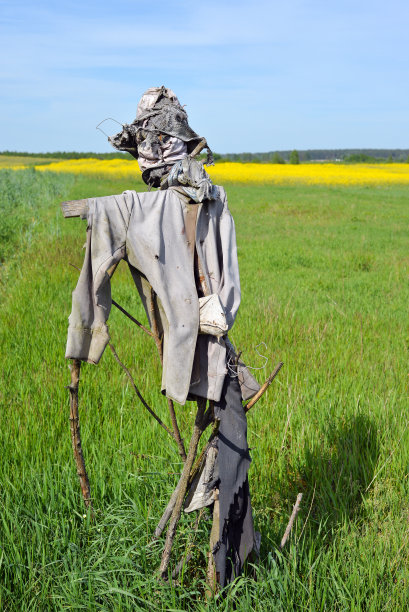 绿野上的稻草人图片下载