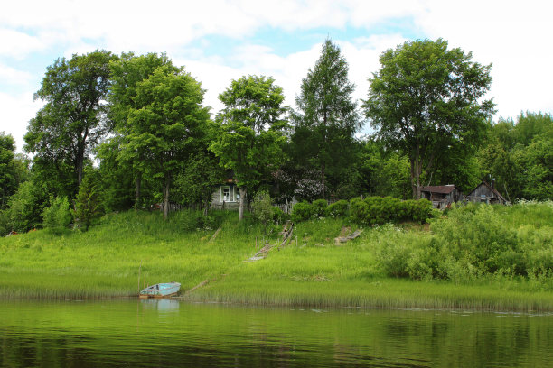 森林中的房子图片下载