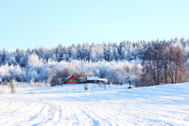 冬天。美丽的冬季景观和白雪覆盖的树木图片下载