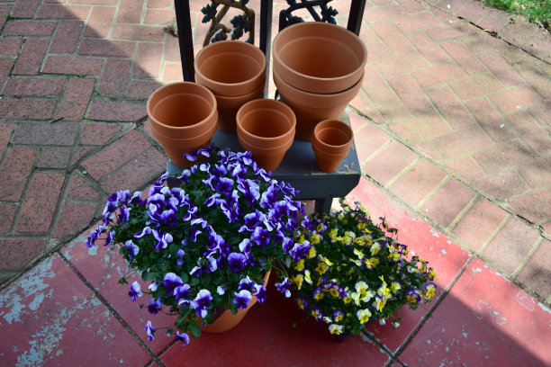 春园艺图片下载