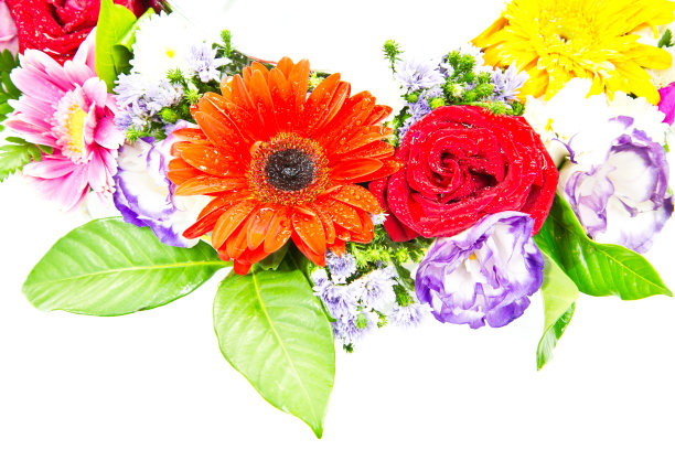 混合的彩色花束孤立在白色的背景图片下载