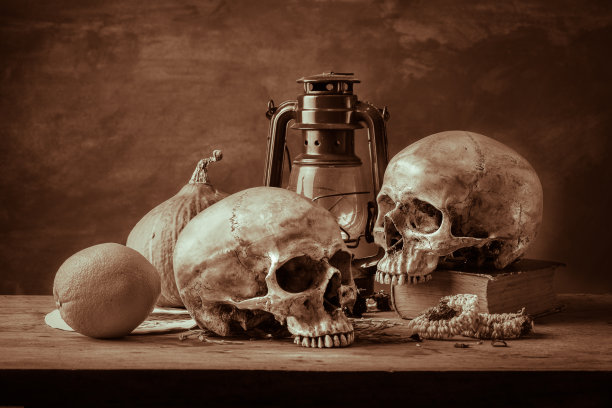 静物的头骨图片下载