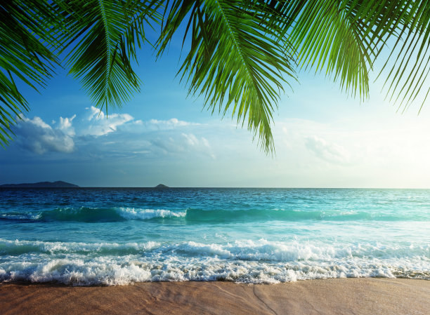 塞舌尔海滩上的日落图片下载