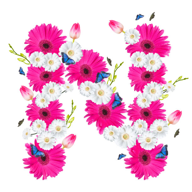 花字母图片下载