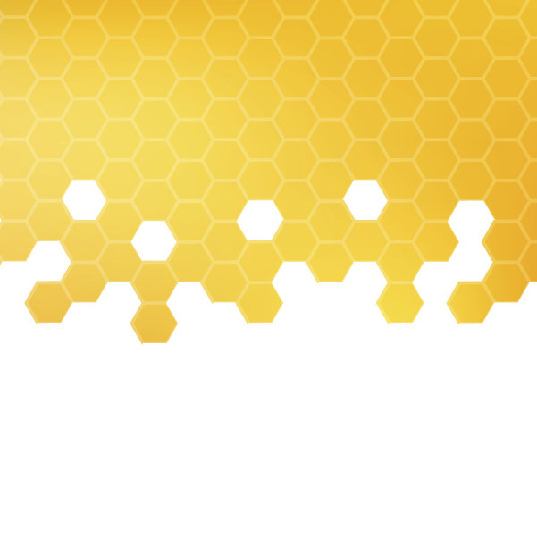 蜜纹矢量图图片下载