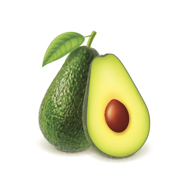 牛油果和切片分离在白色载体上图片下载
