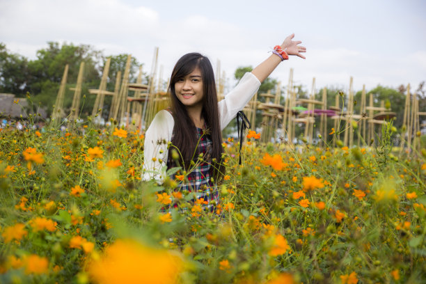 皮佩尔泰图片下载