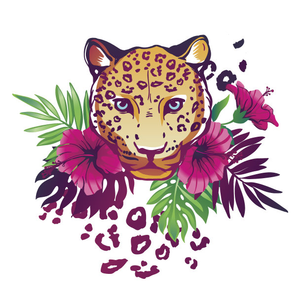 热带矢量插图。图片下载