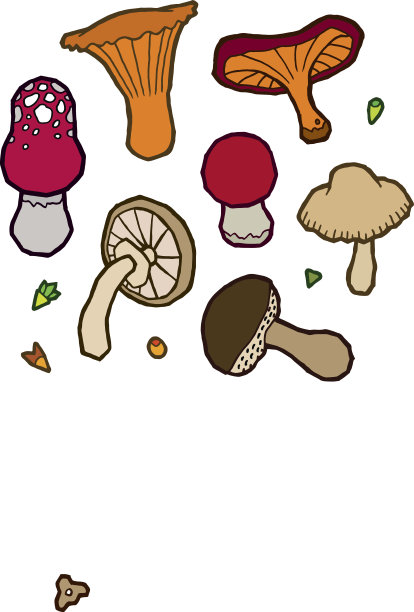 食用菌秋天图片下载