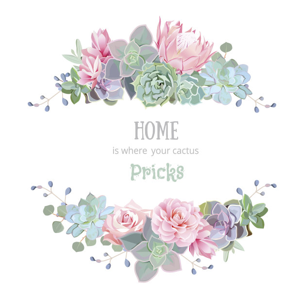 绿色多彩的多肉矢量设计圆形框架。山龙眼,Echeveria eucaliptus。素材图片