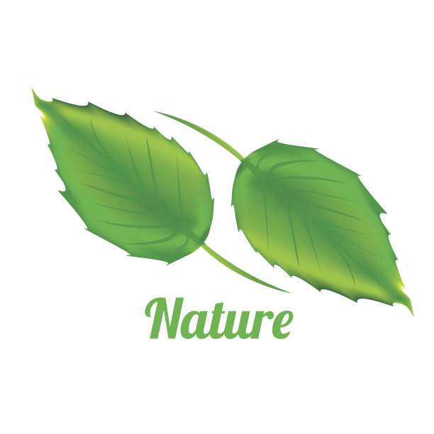 自然的设计图片下载