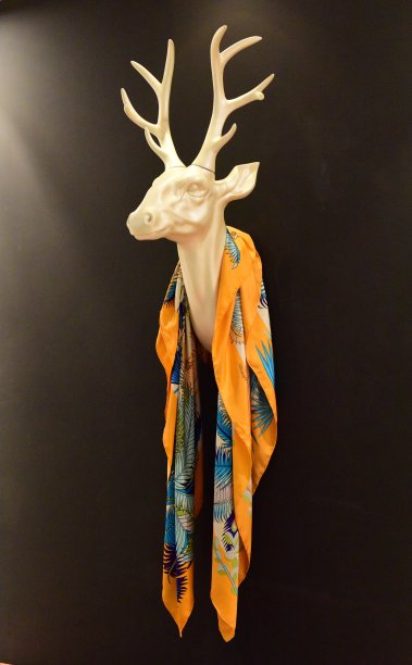 丝巾和头带鹿图片下载