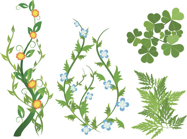 一套绿色装饰植物与花-向量图片下载