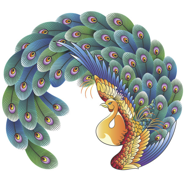 日本的孔雀图片下载