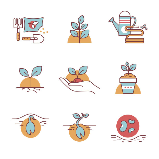 发芽种子和家庭园艺图片下载