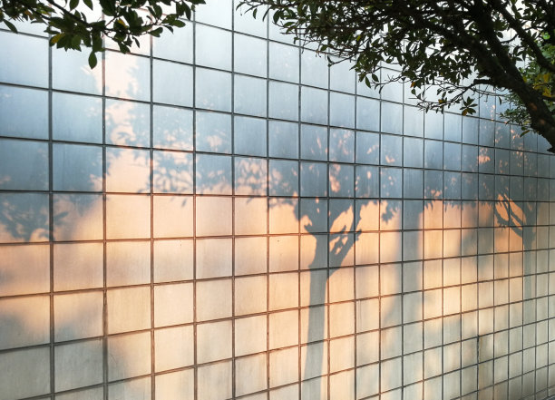 陶瓷墙面上抽象的树阴背景和纹理图片下载