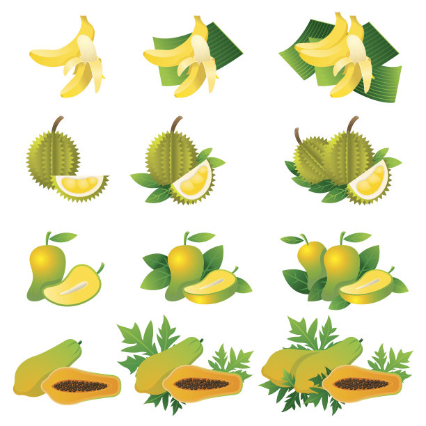 香蕉，榴莲，芒果，木瓜，插图图片下载