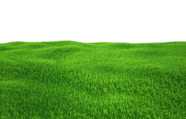 绿色的草生长在山上白色的背景顶视图图片下载