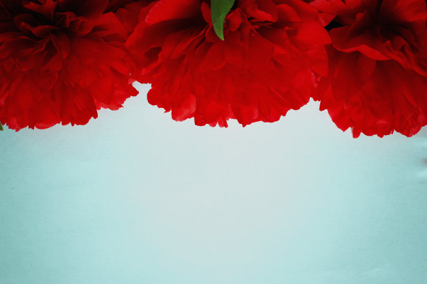 背景红色花瓣图片下载