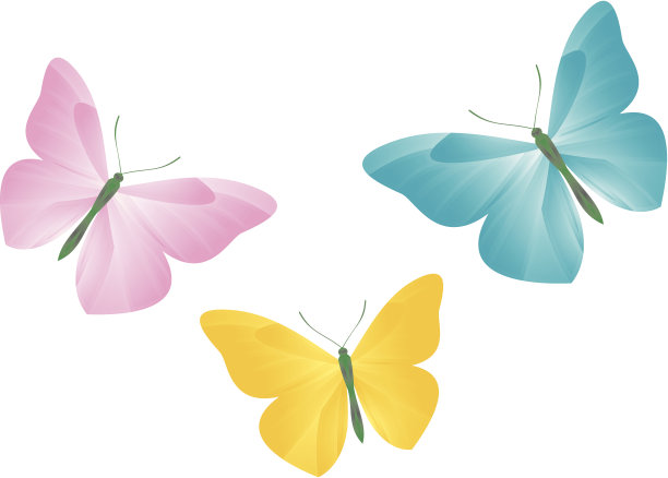 蝴蝶插图图片下载