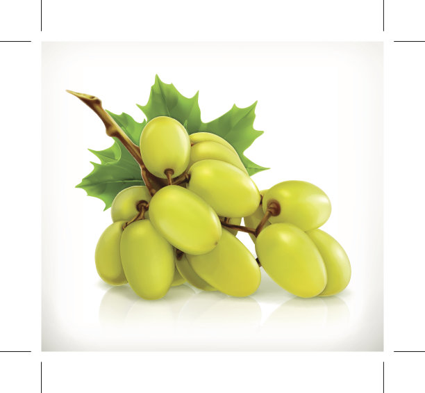 葡萄串，矢量图标素材图片
