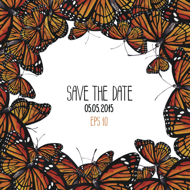 水彩黑脉金斑蝶图片下载