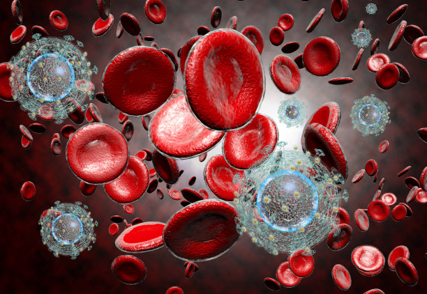 艾滋病的HIV病毒图片下载