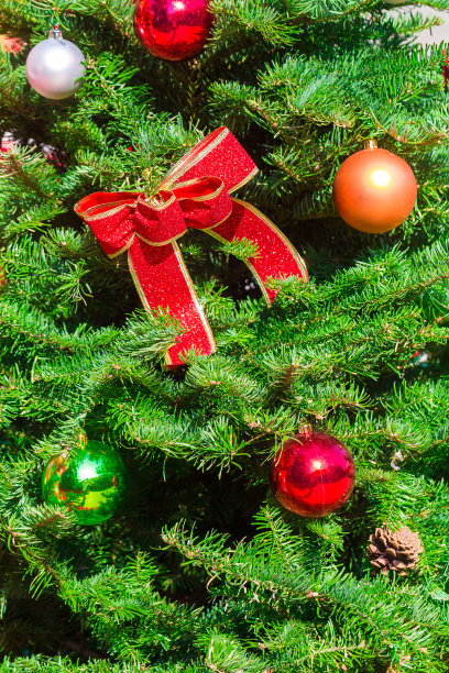 圣诞树装饰的特写。图片下载