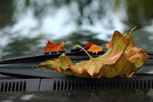 秋天刚刚开始图片下载