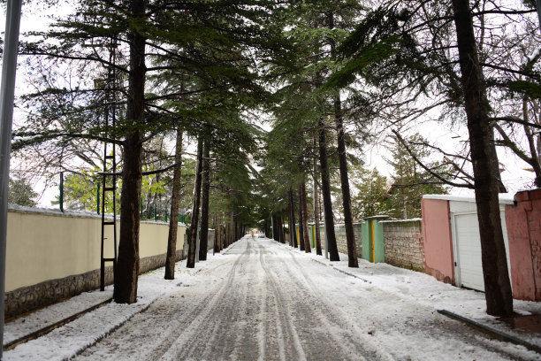 梅夫拉纳博物馆图片下载