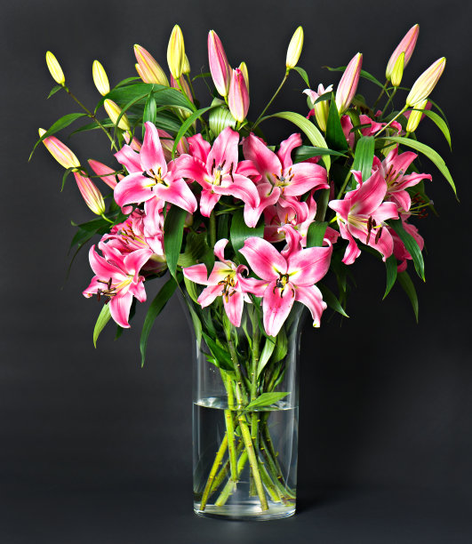 百合花束图片下载