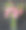 百合花束图片下载