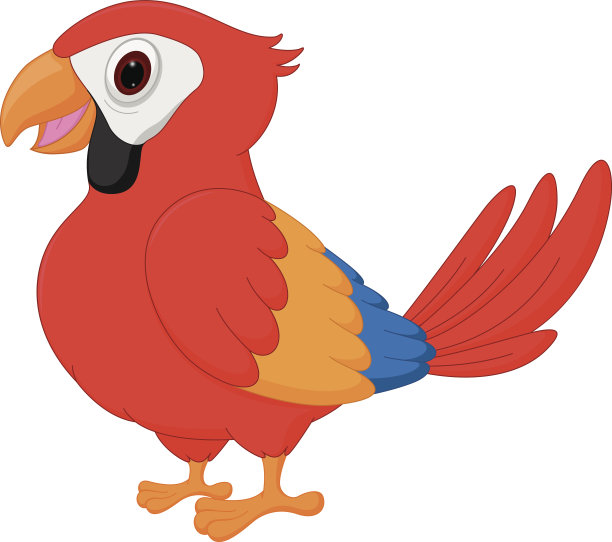金刚鹦鹉鸟卡通图片下载