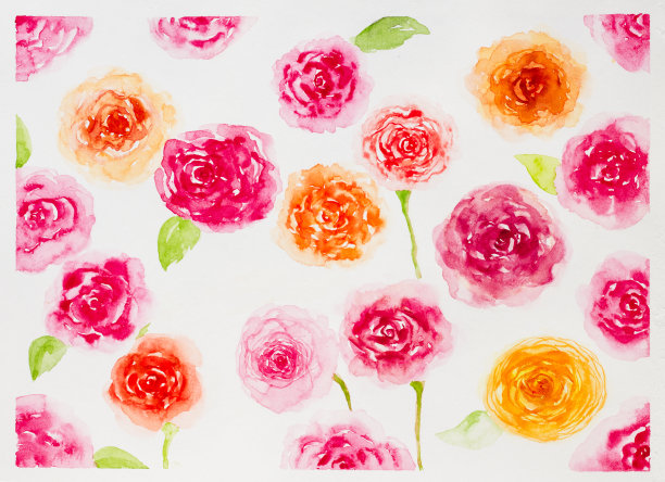 玫瑰水彩作画图片下载