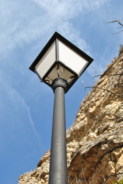 法罗拉图片下载