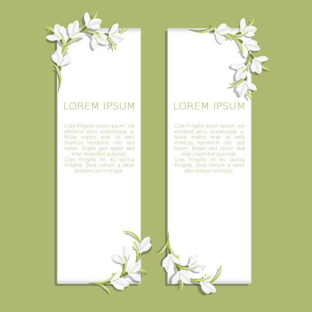 一套两个垂直横幅与雪花莲花图片下载