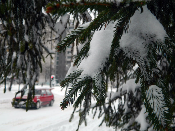 冬天的田园和城市图片下载
