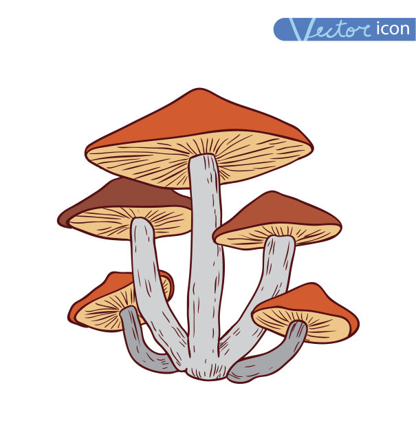 蘑菇设置图标，矢量插图。图片下载
