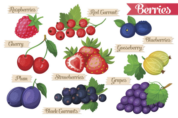 多汁浆果套装图片下载