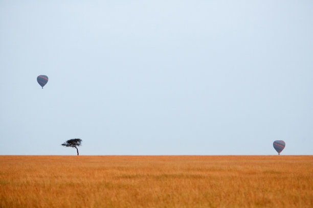 与游客乘坐热气球遨游非洲大草原图片下载