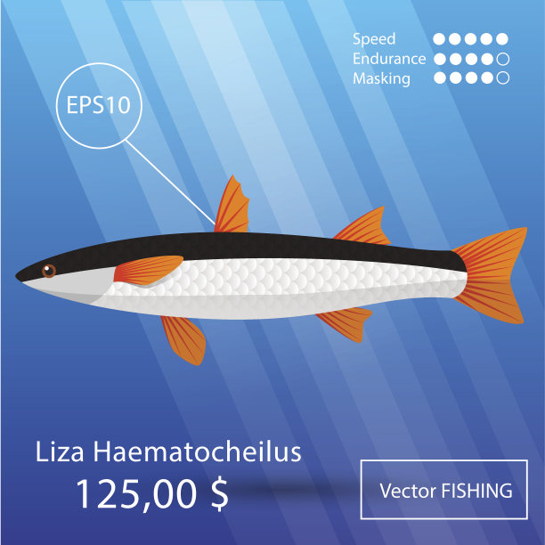 海洋的鱼图片下载