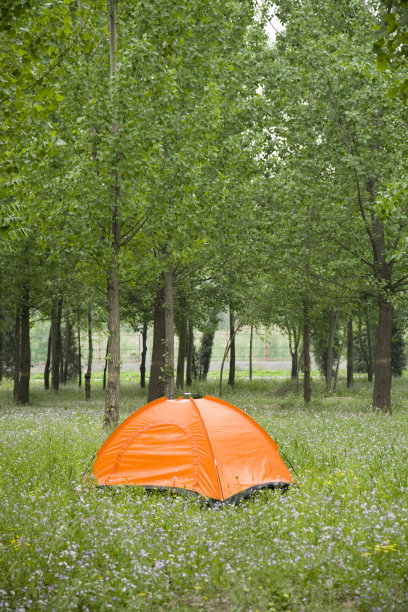 野营帐篷图片下载