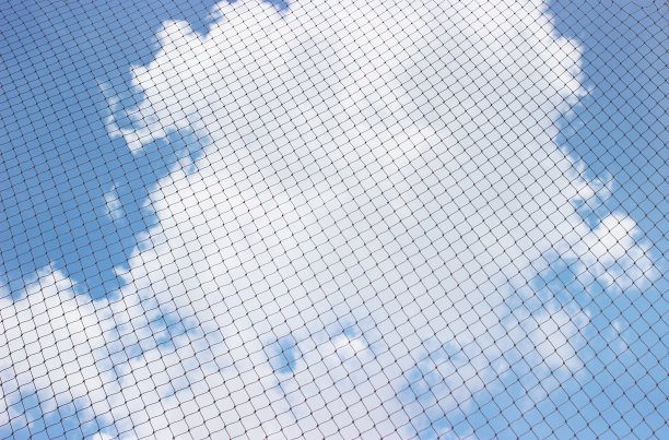 通过网格向天空看。图片下载