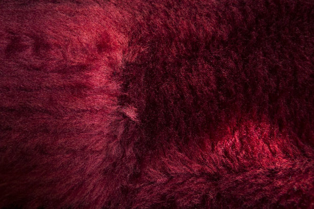 吉他盒红色衬垫图片下载