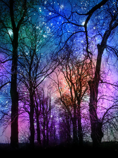 在晚上图片下载