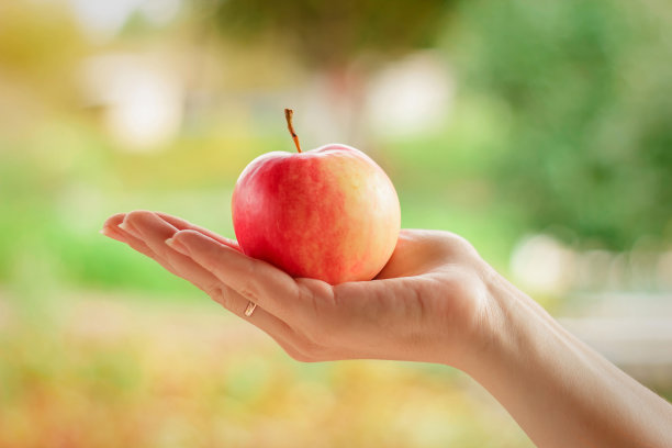 手拿着红苹果在户外图片下载