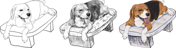 小猎犬在椅子上图片下载