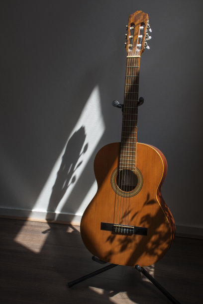 阳光下的棕色吉他图片下载