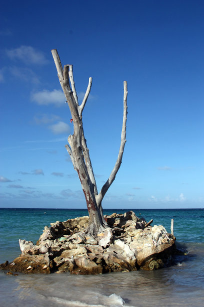 在海上的暴风雨之后图片下载