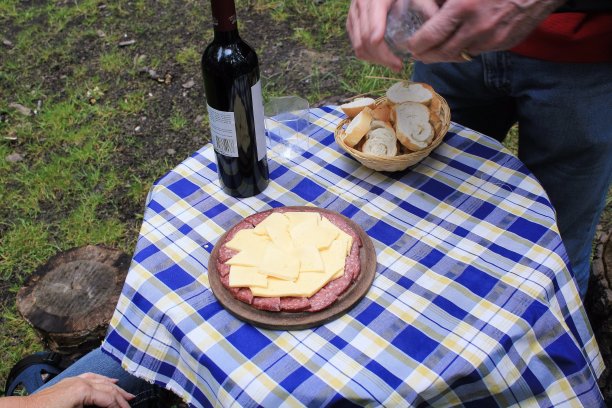 森林野餐图片下载